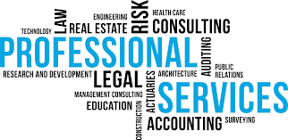 Professional Services wordmap