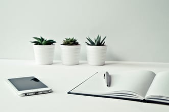 Phone and notebook on a table with plant pots in the background